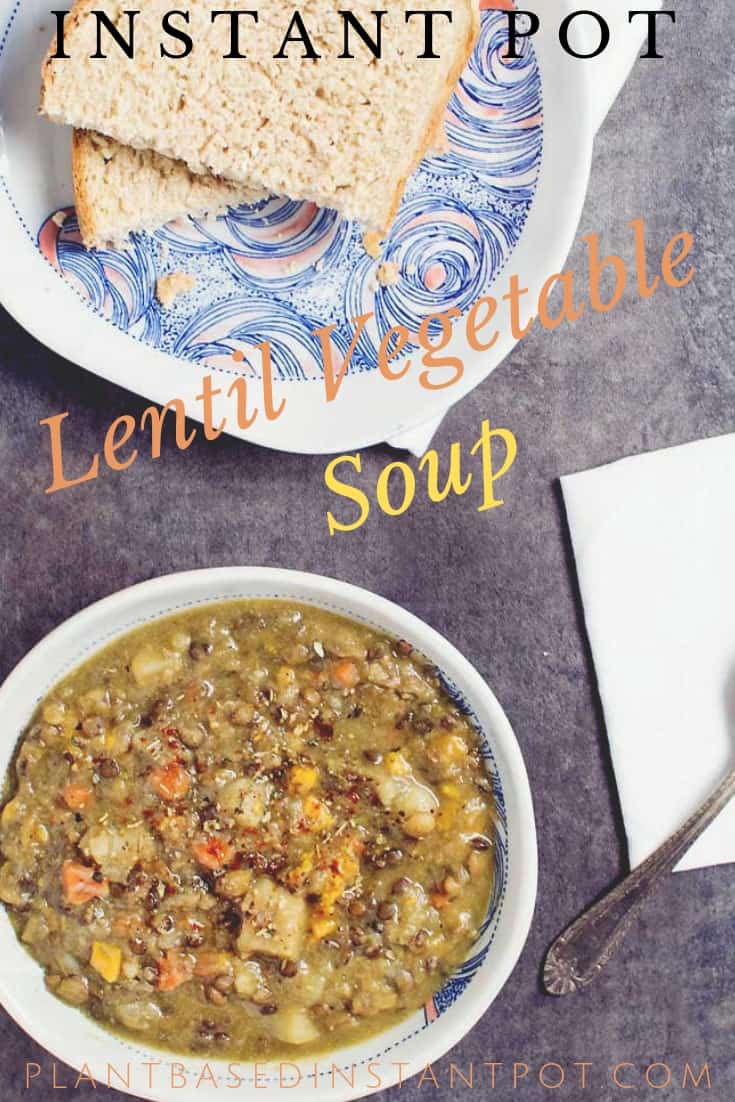 Instant Pot Lentil Vegetable Soup