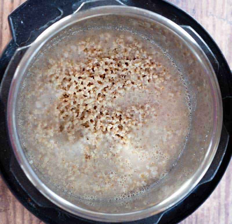 Instant Pot Steel Cut Oats Basics and Recipe