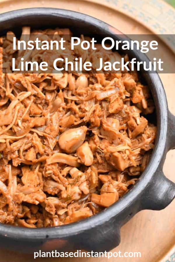 Instant pot jackfruit recipes sale