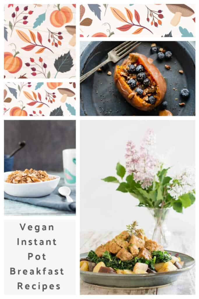 Vegan Instant Pot Breakfast Recipes Plant Based Instant Pot