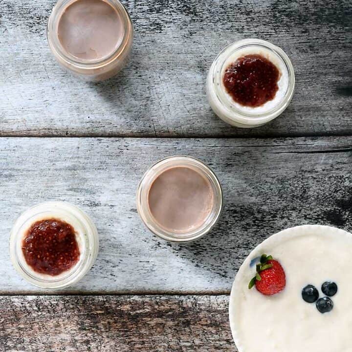 Instant Pot Vegan Yogurt with or without Soy! Plant Based Instant Pot