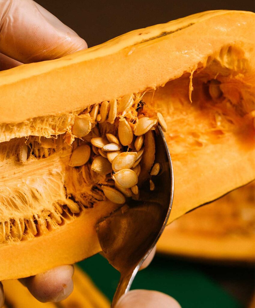 Delicata squash cut in half with seeds being scraped out.