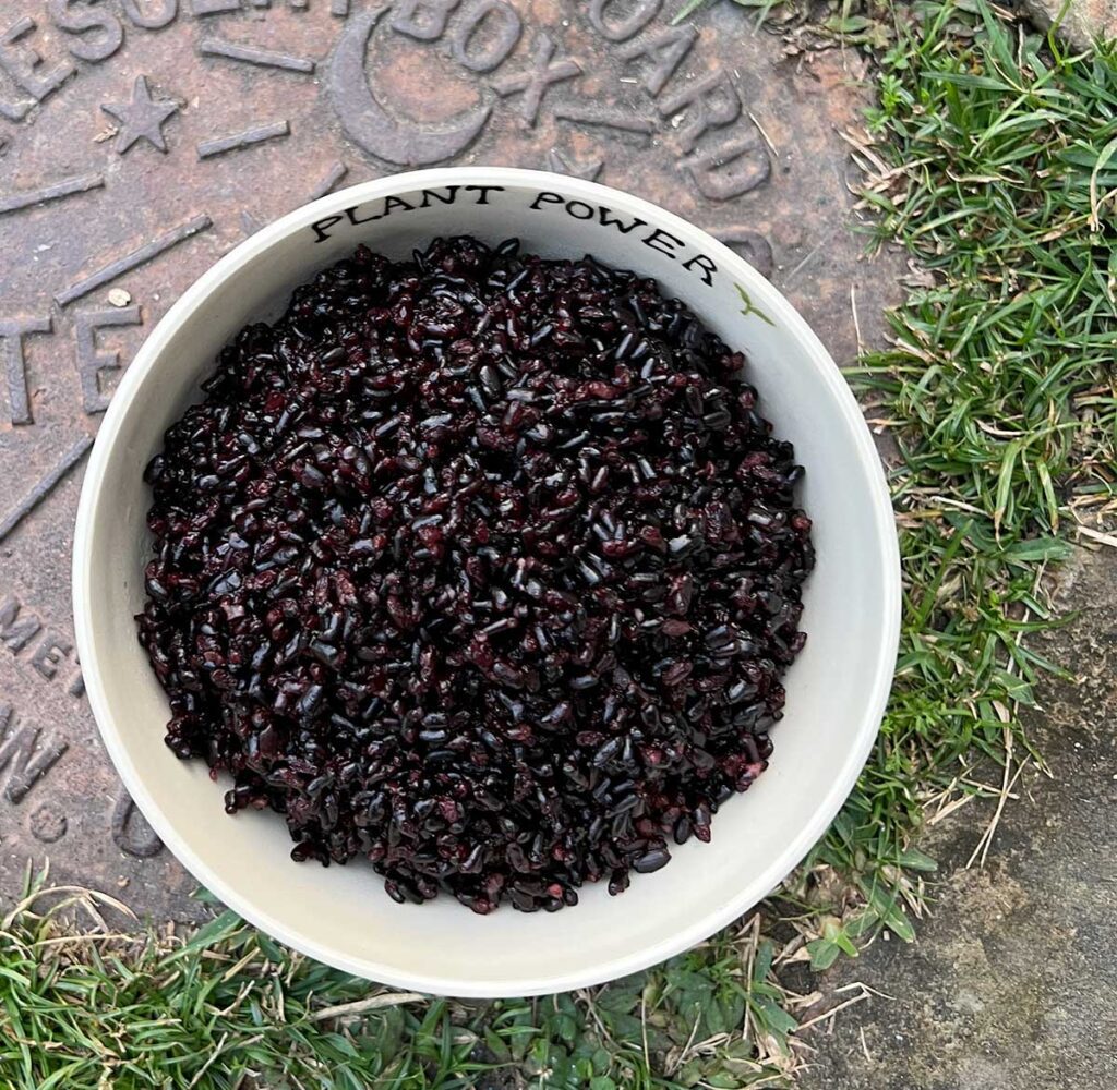 Cooked black rice in a handmade pottery bowl on a water meter cover.