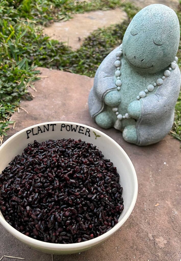 Plant power bowl by the vegan potter on a stepping stone with a garden statue.