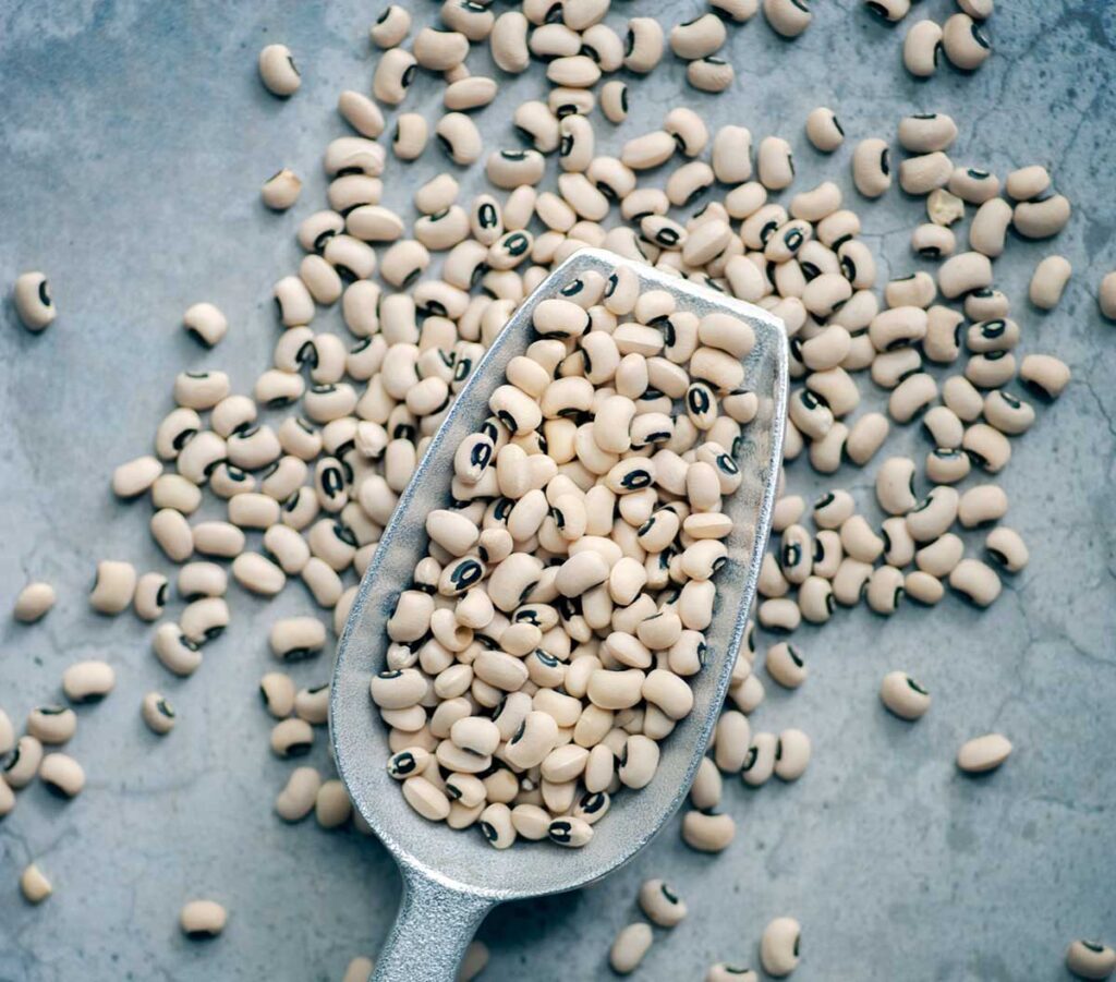 Dried, black eyed peas in a silver scoop and scattered around on a grey concrete surface.